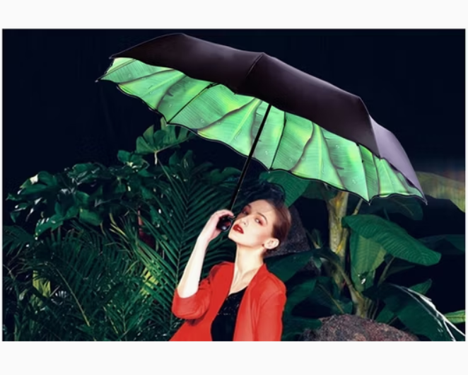 Ô dù gấp gọn nữ chống nắng chống mưa họa tiết nghệ thuật sang trọng 